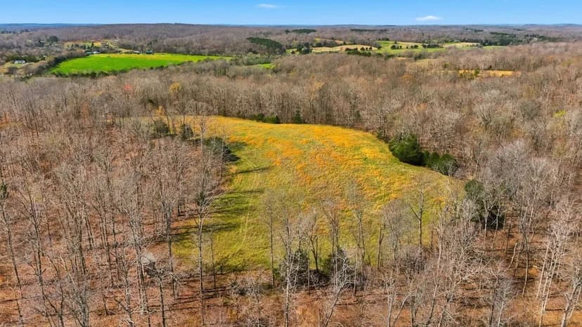 Houston County TN Land for Sale | 30.15 Acres with Timber, Pasture & Utilities