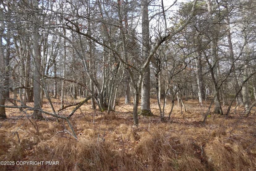 Vacant Land in Albrightsville