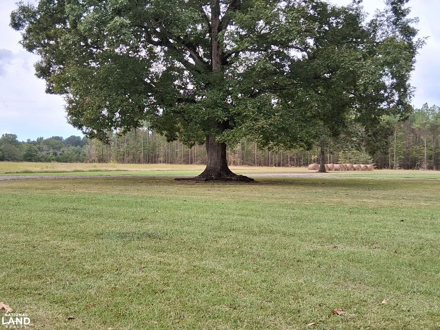 Large Hunting and Investment Opportunity - New Albany, Mississippi, 38652