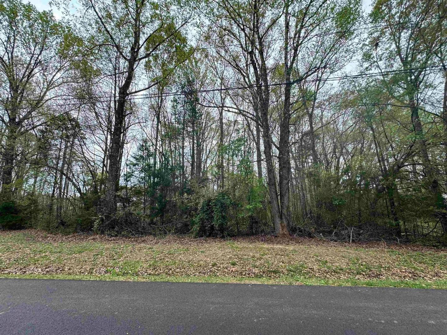 Vacant Land in Chesnee - Chesnee, South Carolina, 29323