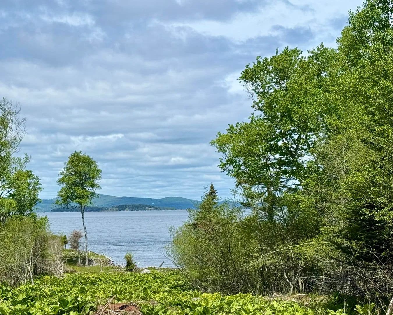 10 Acres of Land for Sale in North Haven, Maine - North Haven, Maine, 04853