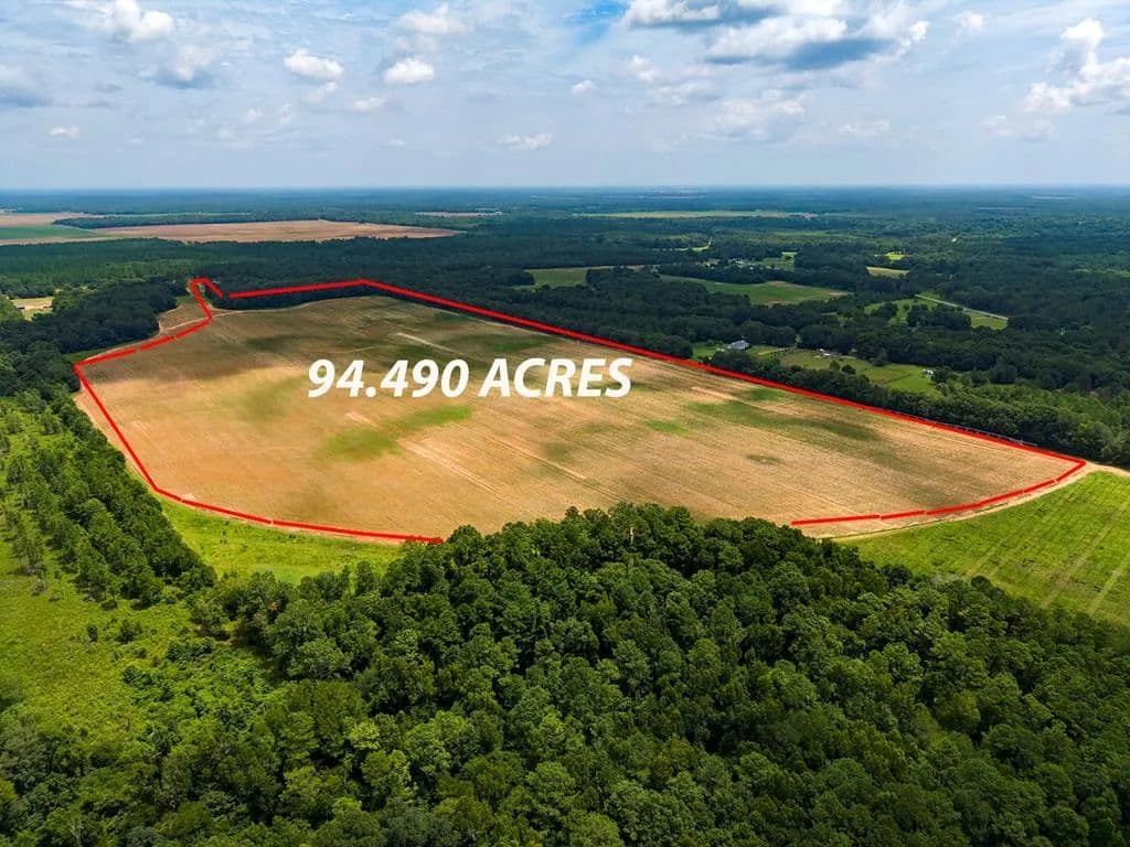 Vacant Land in Leesburg - Leesburg, Georgia, 31763