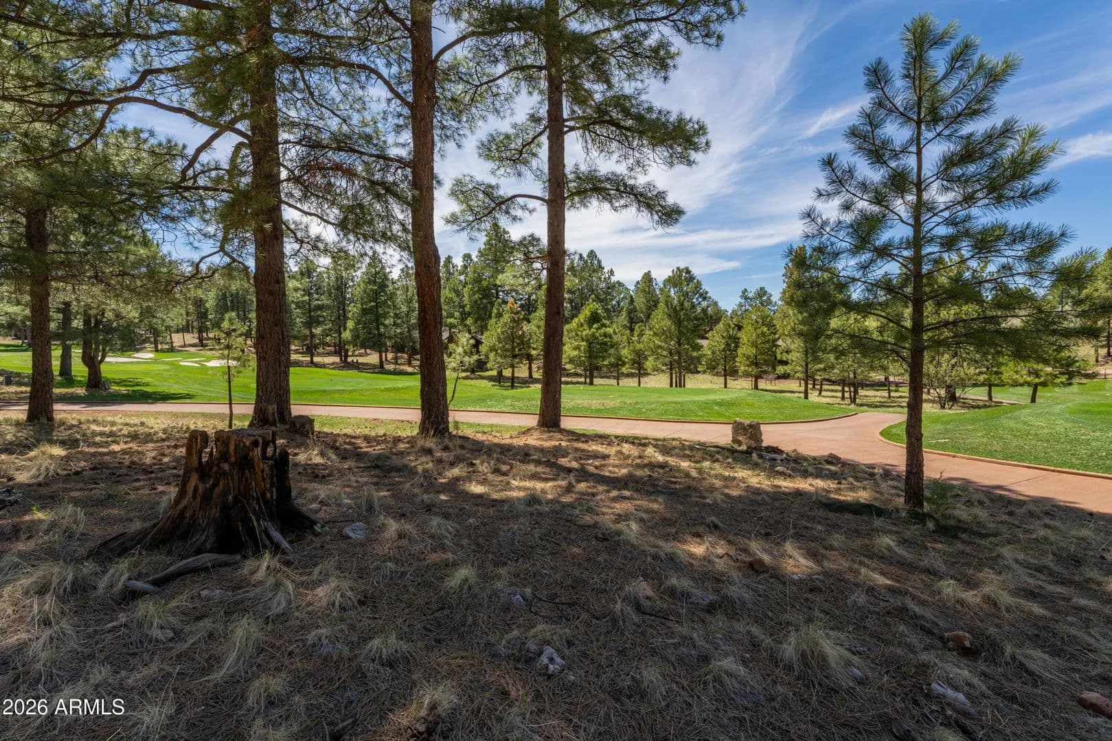Property from 3663 S Woodland Hills Drive #365 - KW - Flagstaff, Arizona, 86005