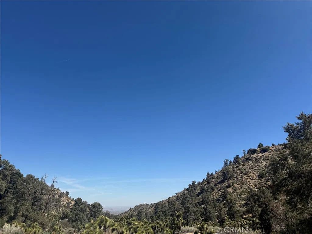 Vacant Land in Pinon Hills - Pinon Hills, California, 92372