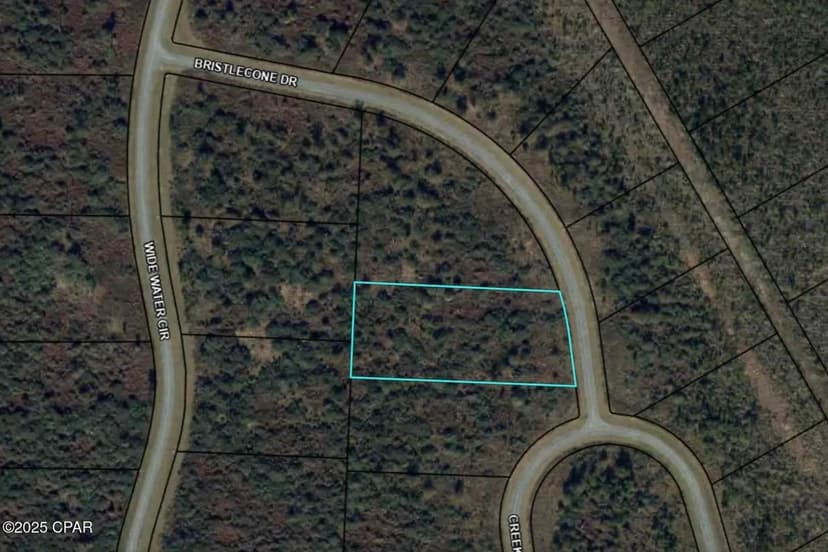 Vacant Land in Wewahitchka
