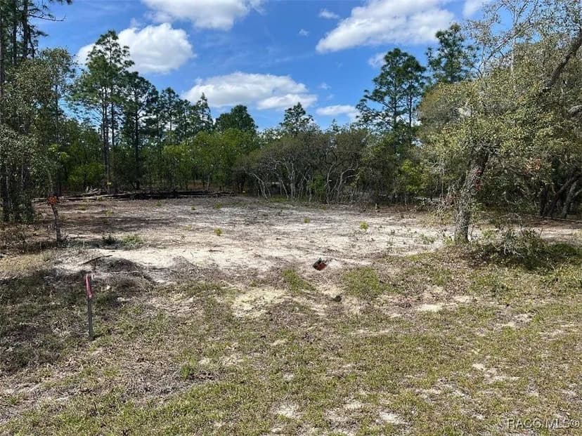 Lots & Land-Other in Dunnellon