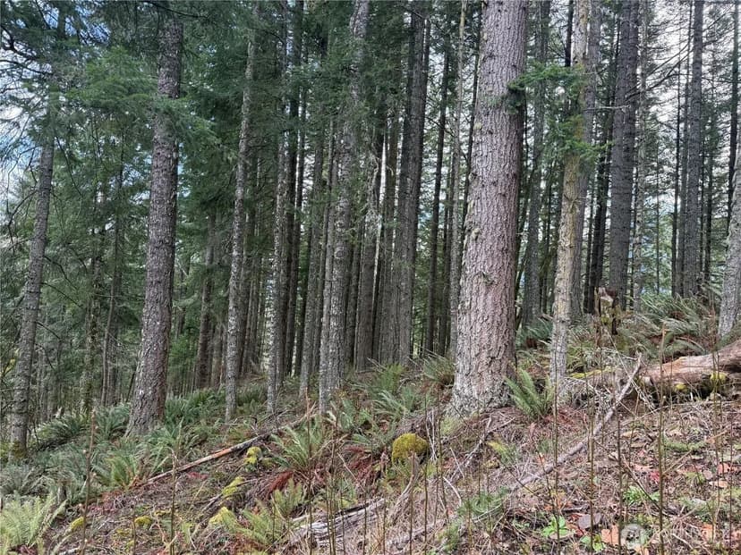 Lots & Land-Other in Eatonville