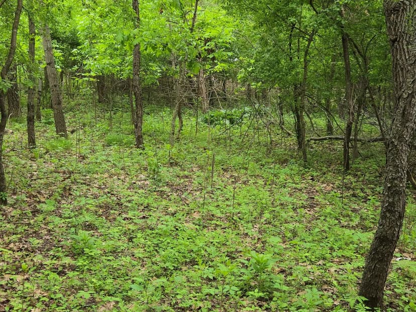 Land -Agricultural (Not Zoned) in Princeton Town