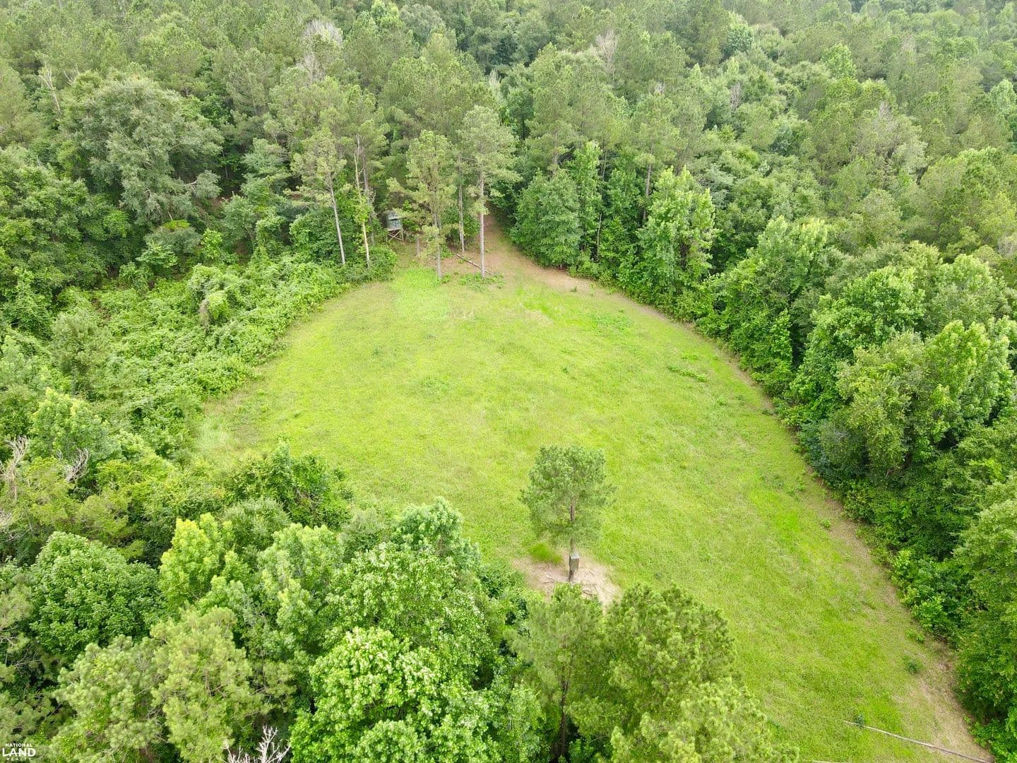 Manilla Hunting and Timber Tract - Jackson, Alabama, 36545
