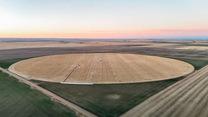 Dirks Irrigated/Dryland/Pasture Land Auction (Tract #2)