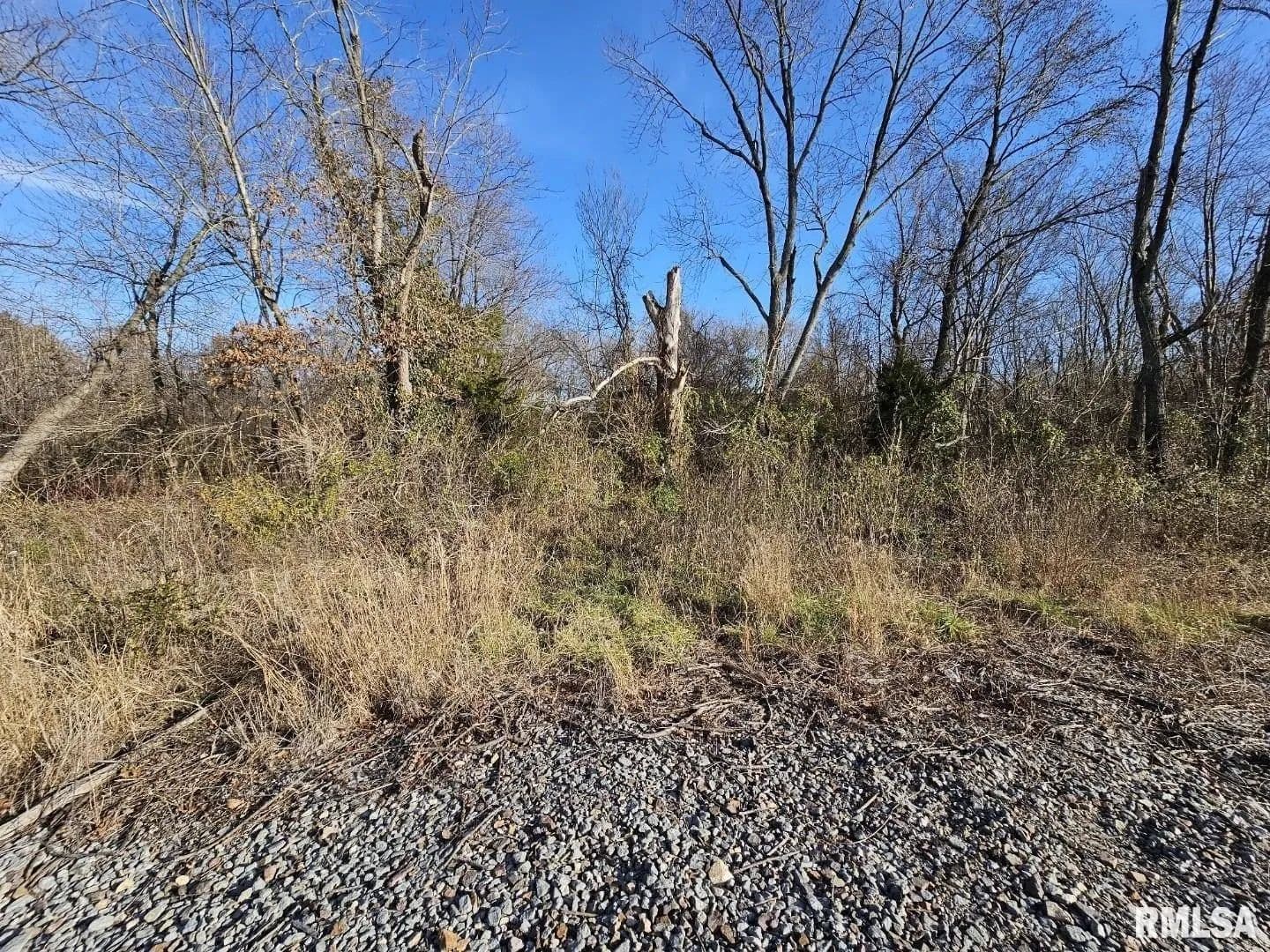 Lots & Land-Other in Bonnie - Bonnie, Illinois, 62816
