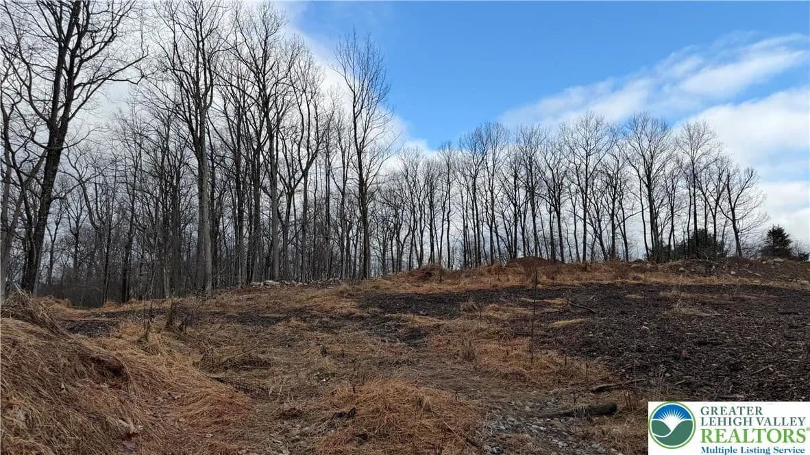 Vacant Land in Upper Mt Bethel Twp - Pennsylvania, 18343