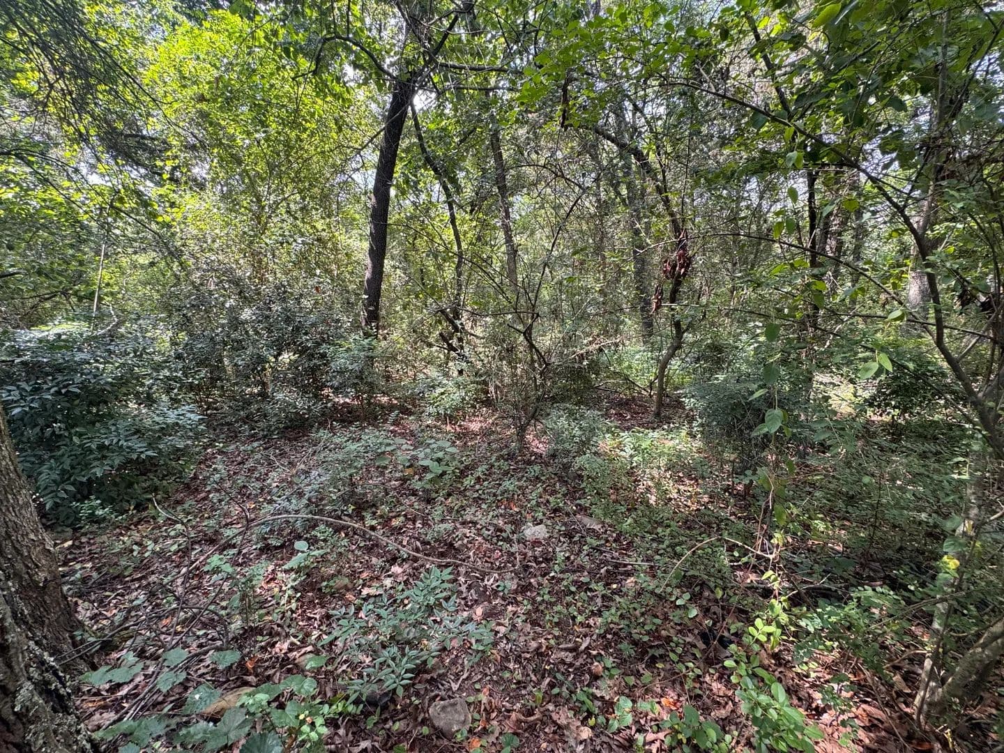 Land -Single Family Acreage in Clarksville - Clarksville, Arkansas, 72830