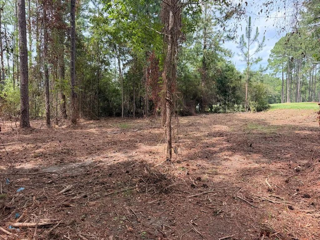 Lots & Land-Other in Sylvester - Sylvester, Georgia, 31791