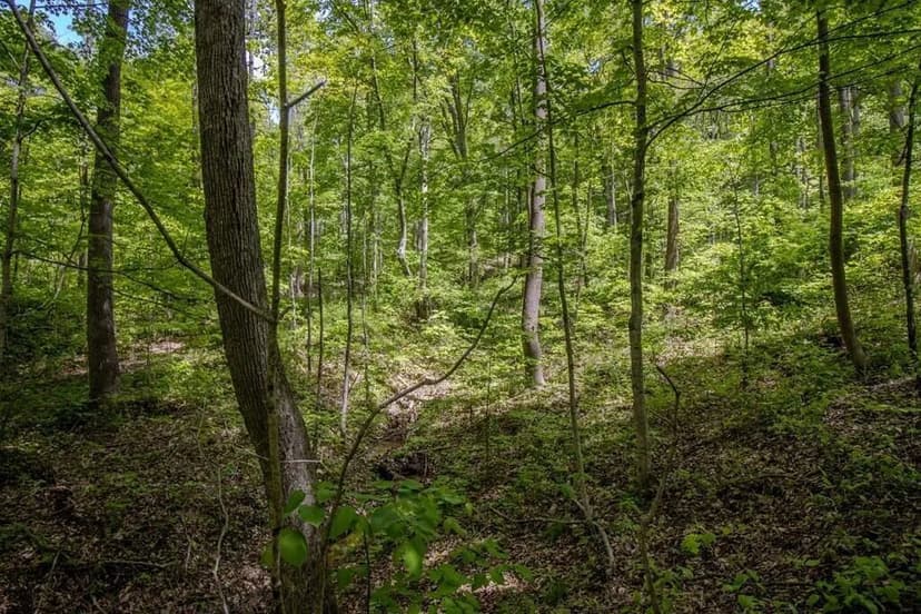 Lots & Land-Other in Bainbridge