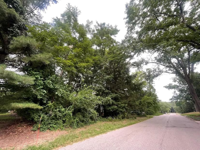 Vacant Land in New Buffalo