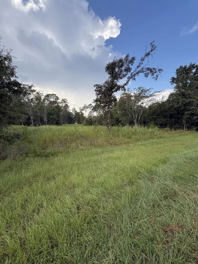Lots & Land-Other in Donalsonville - Donalsonville, Georgia, 39845