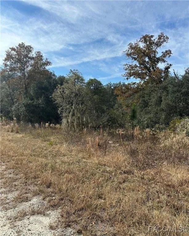 Lots & Land-Other in Dunnellon - Dunnellon, Florida, 34434