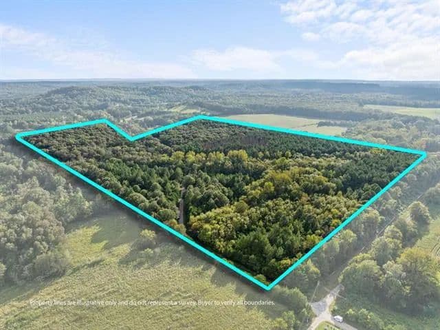 Lots & Land-Other in Town Creek - Town Creek, Alabama, 35672