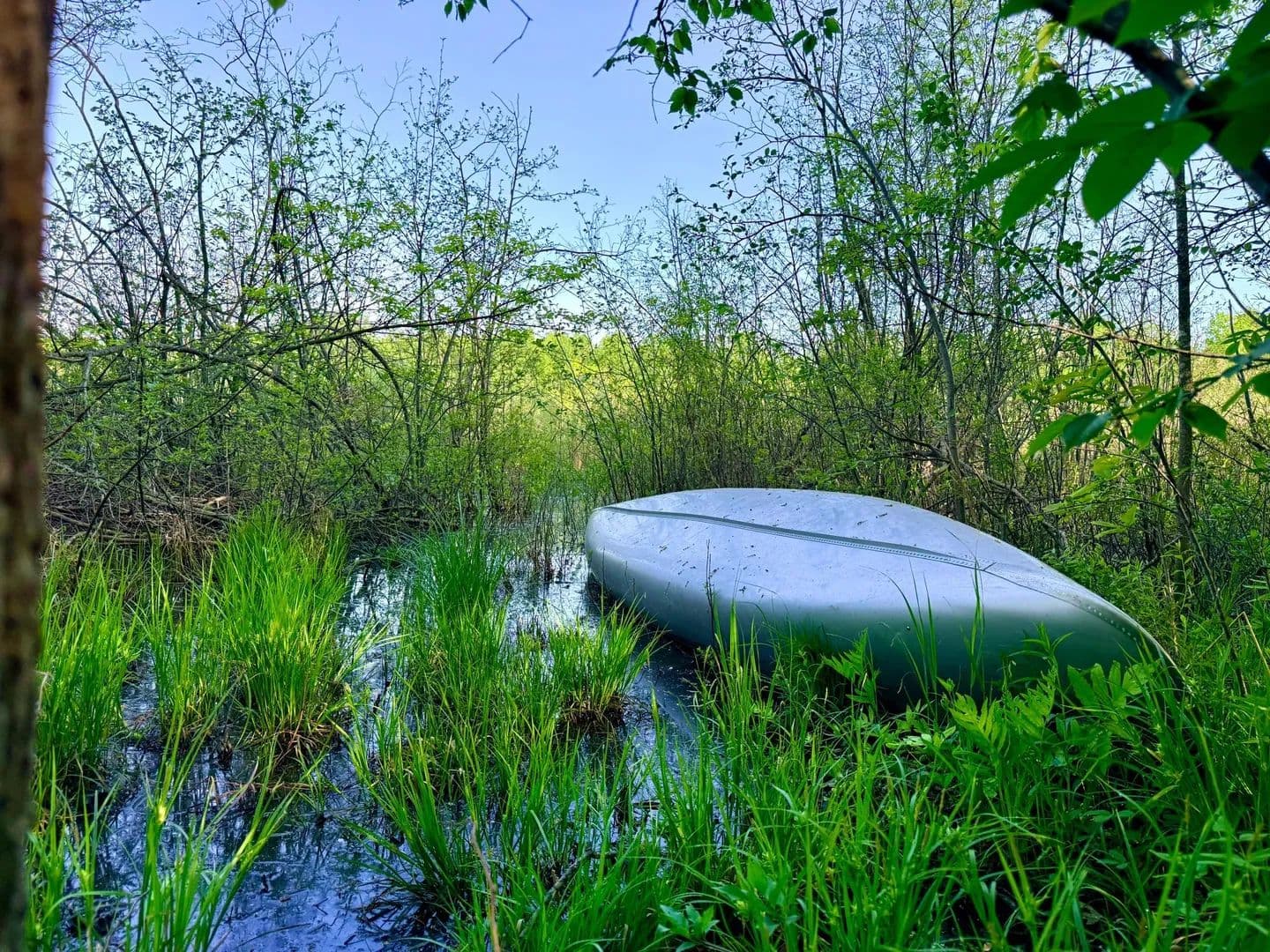 Land -Single Family Acreage in Isle - Isle, Minnesota, 56342