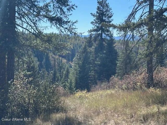 Property from Lot 3 Flat Creek Road - KW