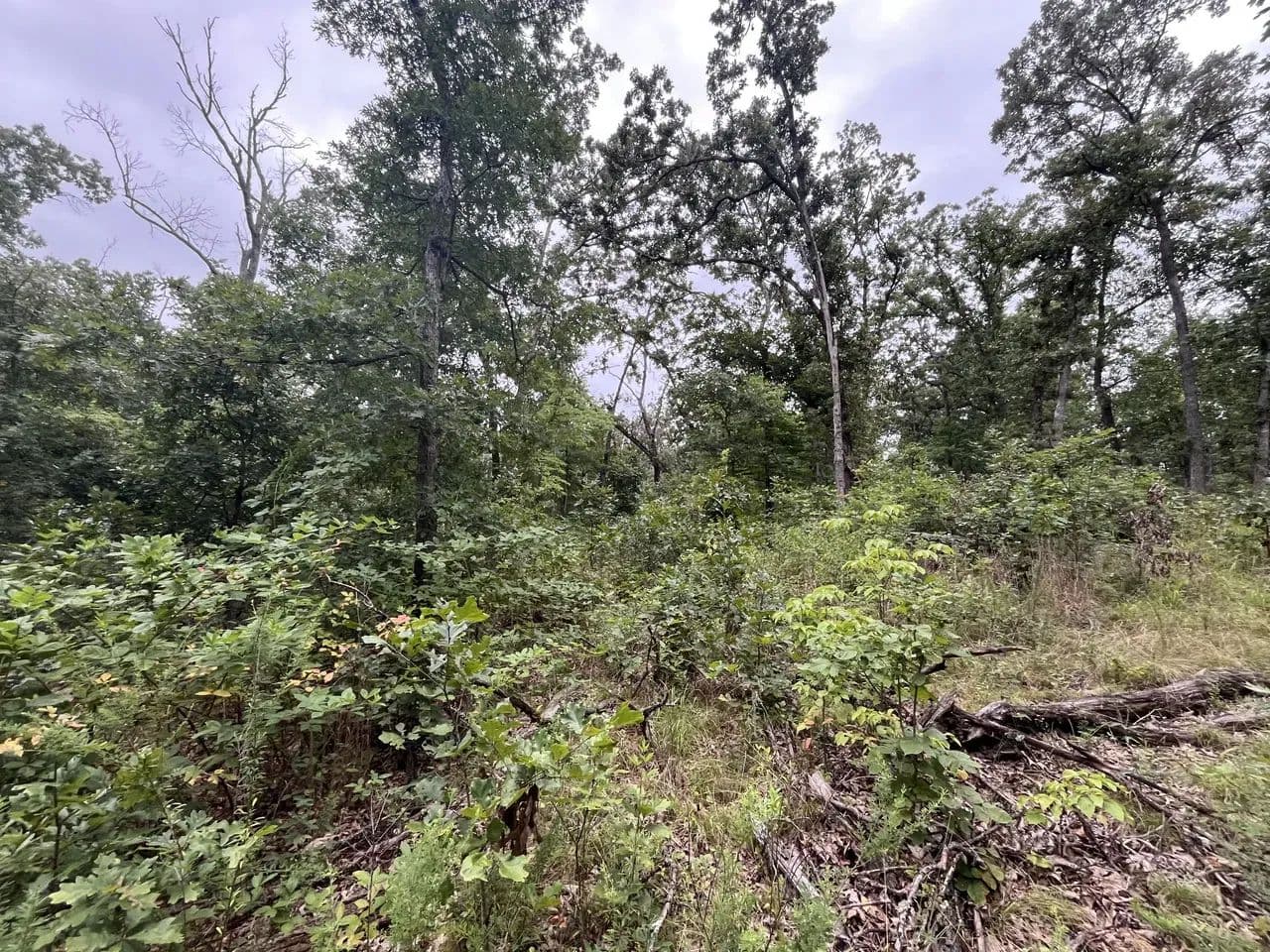 Morris's Creek Overlook - Climax Springs, Missouri, 65324
