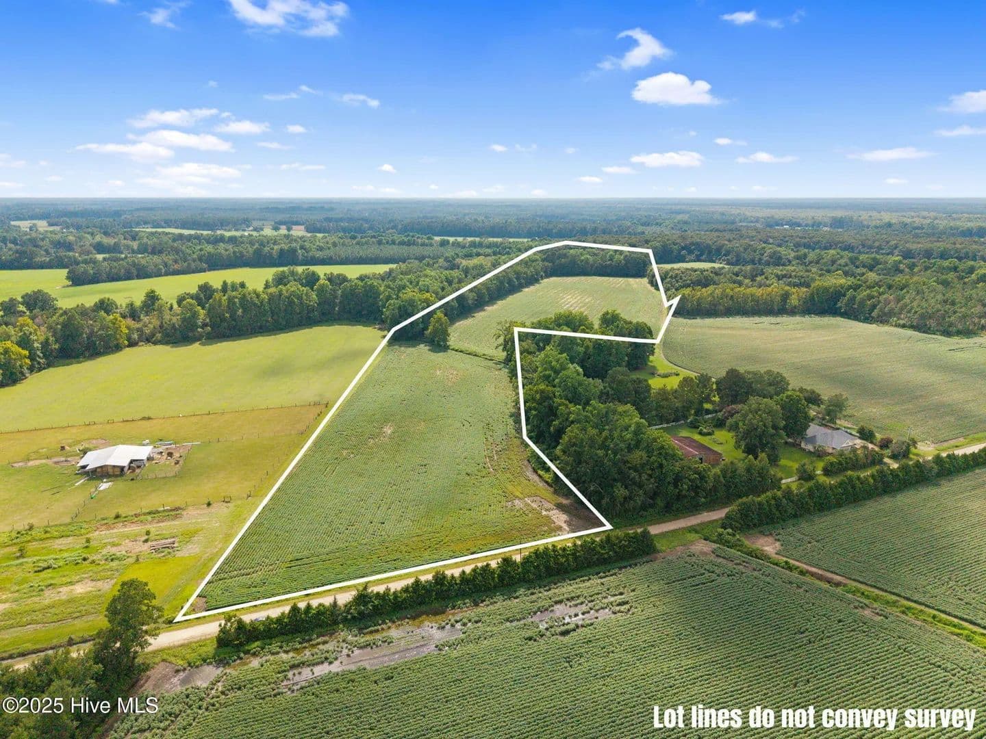 Vacant Land in Cerro Gordo - Cerro Gordo, North Carolina, 28430
