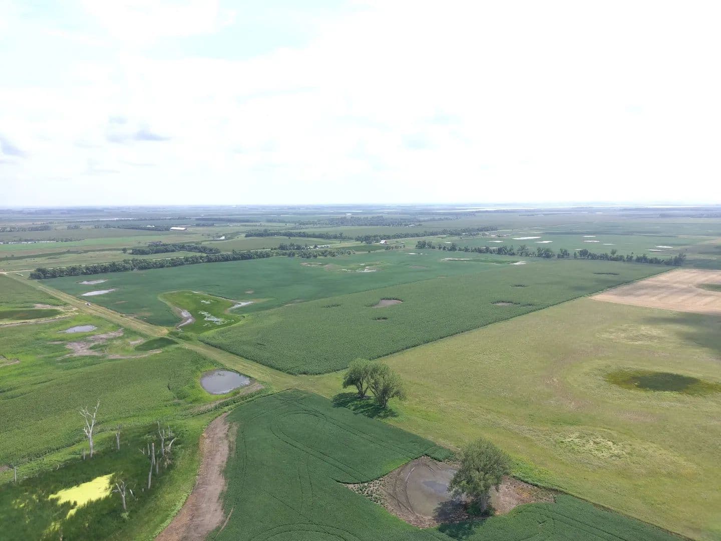 137.32± Acres | Greenfield Township | Brown County, South Dakota - Frederick, South Dakota, 57441