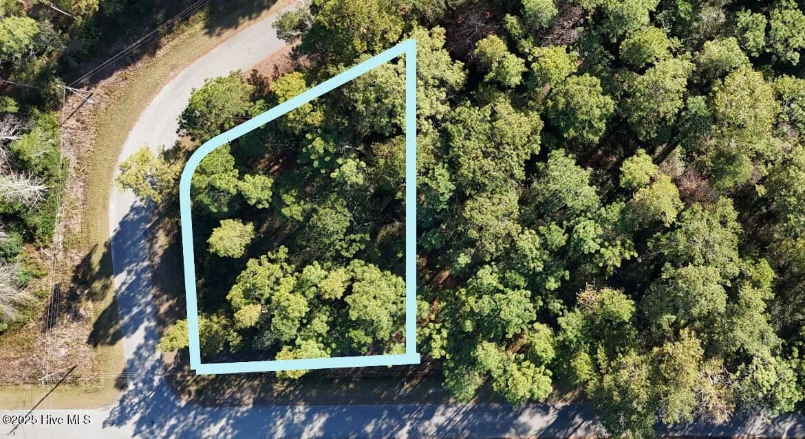 Vacant Land in Boiling Spring Lakes - Boiling Spring Lakes, North Carolina, 28461