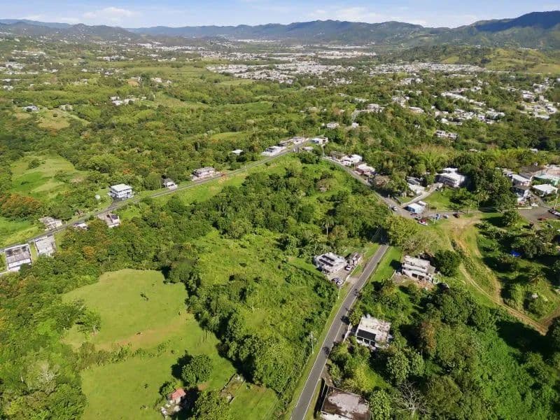 32748 Acres of Land for Sale in Juncos - Puerto Rico