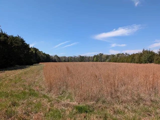Land -Single Family Acreage in Rock Hill