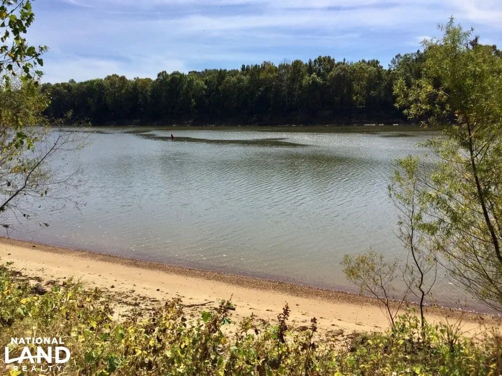 Tombigbee River Upper State Game Sanctuary Tract - Jackson, Alabama, 36545