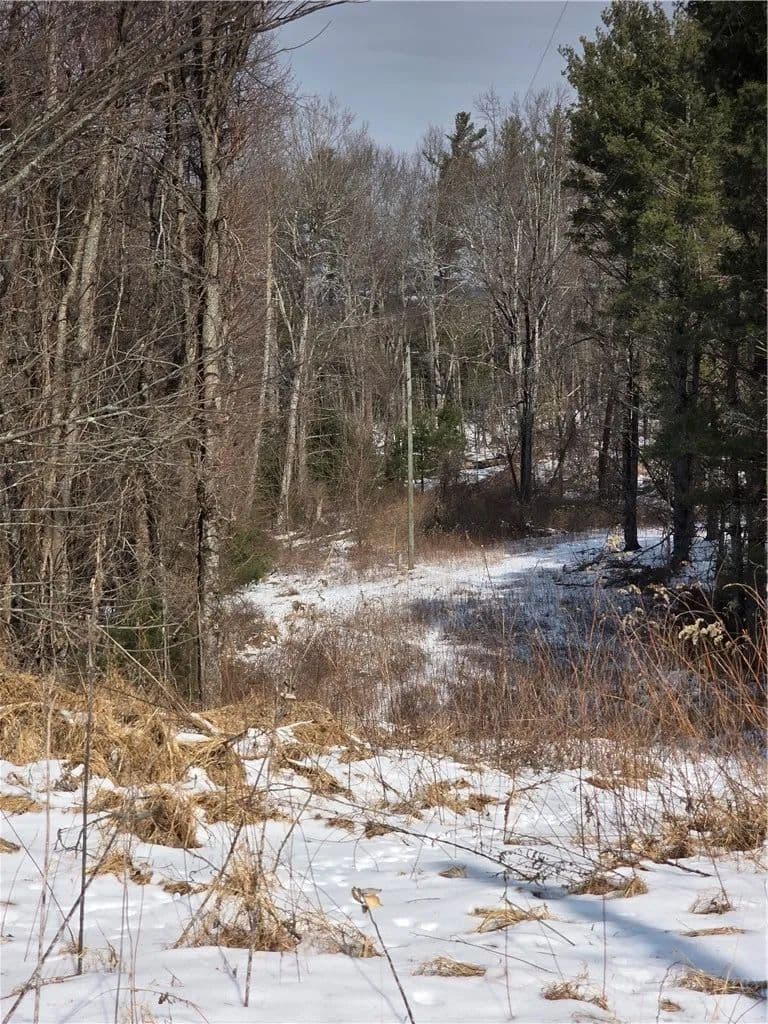 Property from TBD Bennett Lane - KW