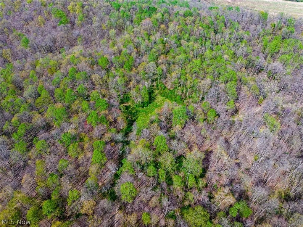 80.75 Acres of Land for Sale in Warsaw, Ohio - Warsaw, Ohio, 43844