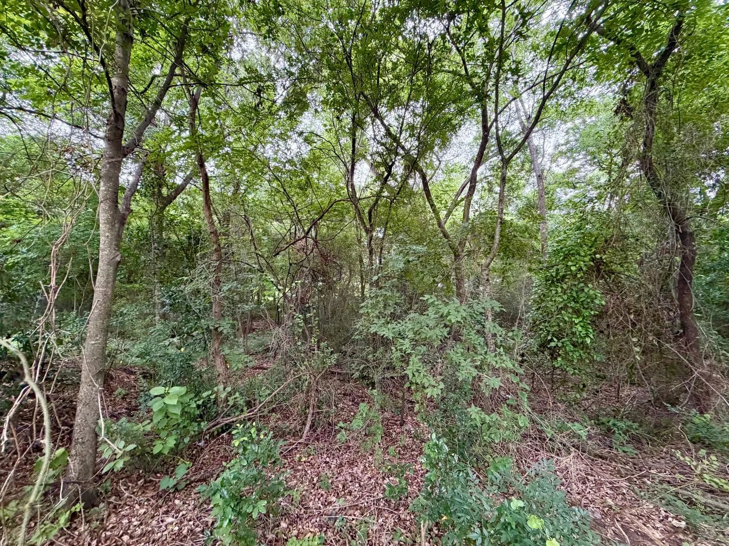 Vacant Land in Mabank - Mabank, Texas, 75156