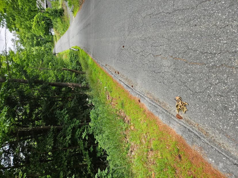 Land -Agricultural (Not Zoned) in Claremont