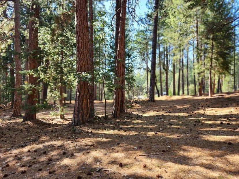 Property from 165 Secret Town Lane - KW