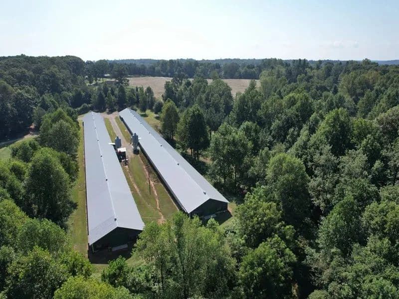 Rock Hill Breeder Farm – Two House Farm in Habersham County, Georgia - Demorest, Georgia, 30535