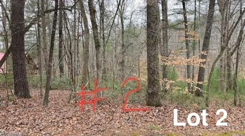 Vacant Land in Stuart - Stuart, Virginia, 24171