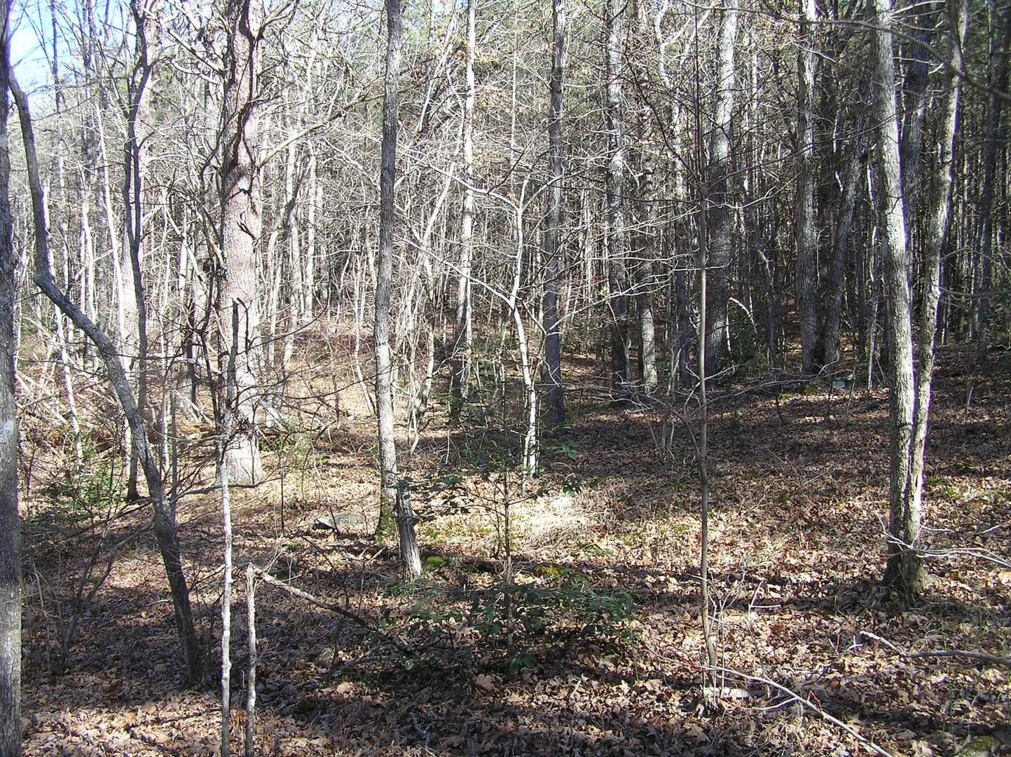 Land -Agricultural (Not Zoned) in Spencer - Spencer, Tennessee, 38585