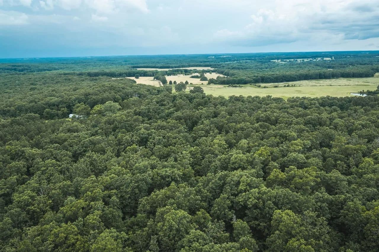 Turtle Timber - Salem, Missouri, 65560