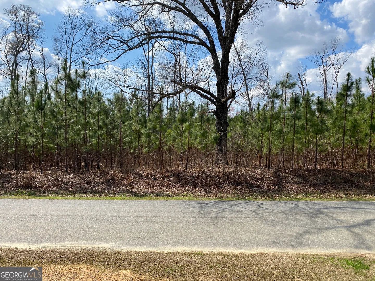 Property from 0 PARCEL 3 Baker Road - KW - Waverly Hall, Georgia, 31831