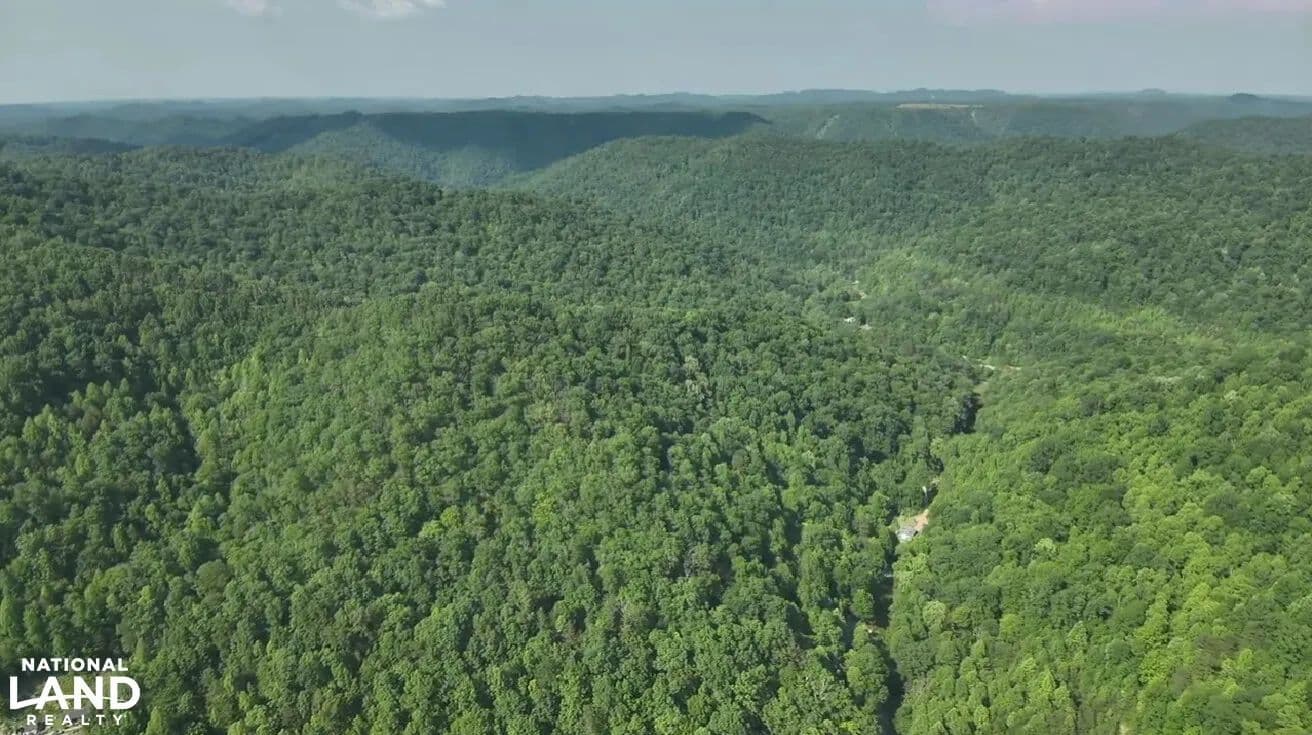 Wooton Big Branch Hunting Land - Wooton, Kentucky, 41776