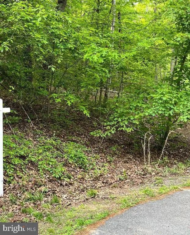 Vacant Land in Stafford - Stafford, Virginia, 22556