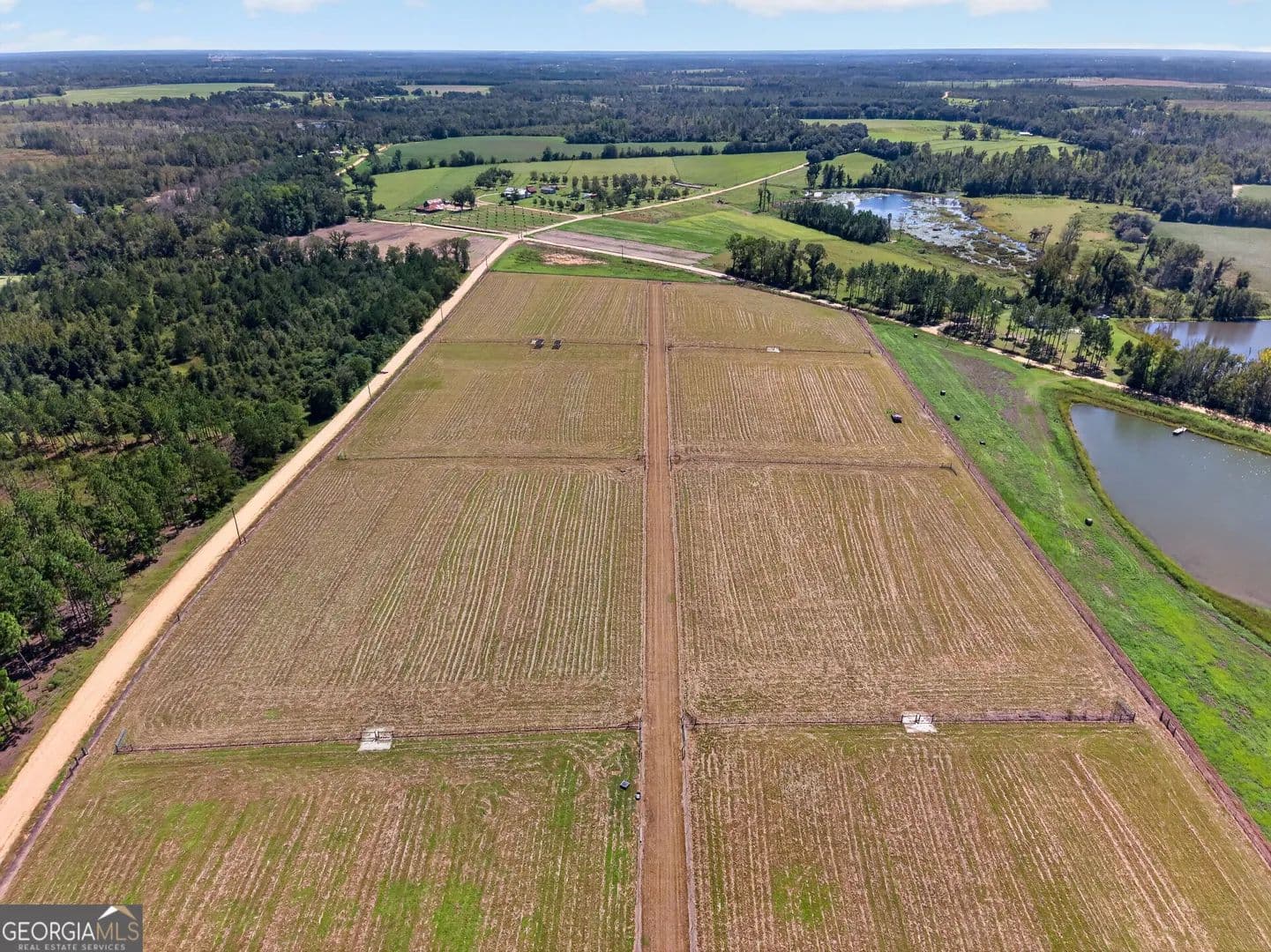 29.63 Acres of Land for Sale in Mount Vernon, GA - Mount Vernon, Georgia, 30445