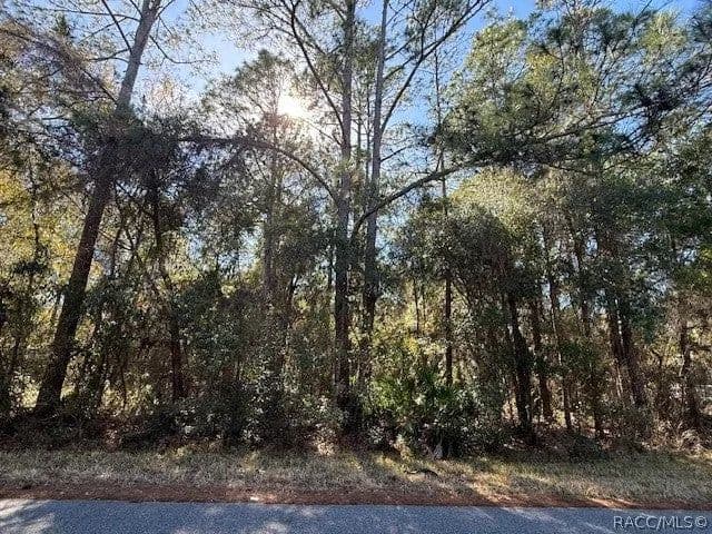 Lots & Land-Other in Dunnellon - Dunnellon, Florida, 34434