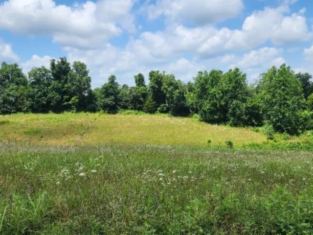 5.52 AC / LEVEL TO ROLLING / MOSTLY OPEN – CLEAR / COUNTRY SETTING / WILDLIFE - Red Boiling Springs, Tennessee, 37150