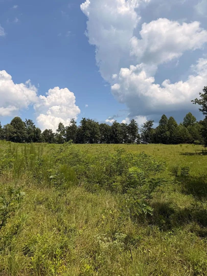 5.38+/-acres Offering stunning, pristine bluff views - South Pittsburg, Tennessee, 37380