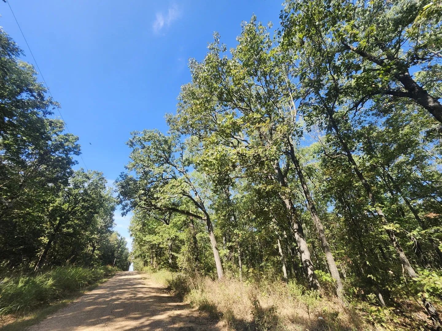 Lots & Land-Other in Flemington - Flemington, Missouri, 65650