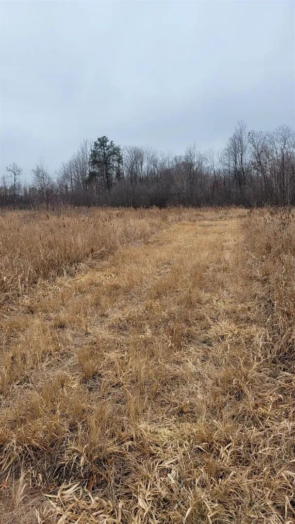 Lots & Land-Other in Nekoosa - Nekoosa, Wisconsin, 54469